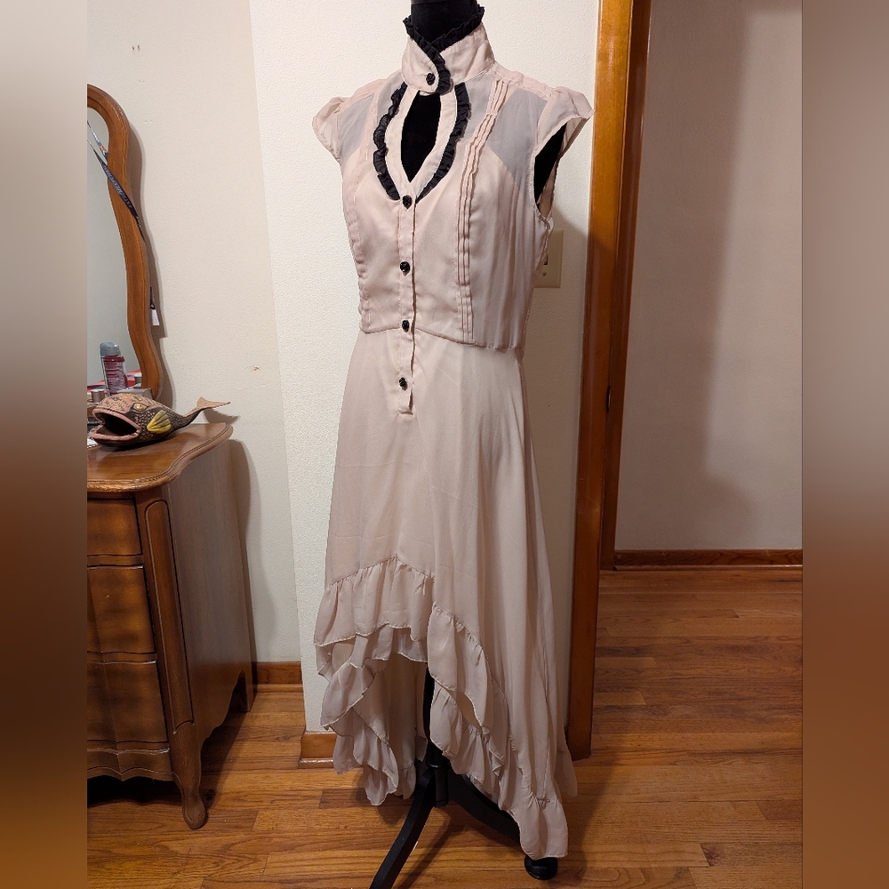 Voodoo Vixen Antique Pink Cream Victorian Goth High Low Vintage Unique Gown